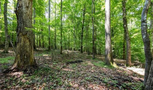Photo #12 of 6910 Long Meadow, Whitsett, NC 20.6 acres
