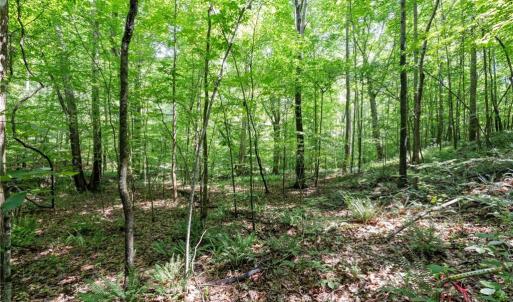 Photo #11 of 6910 Long Meadow, Whitsett, NC 20.6 acres