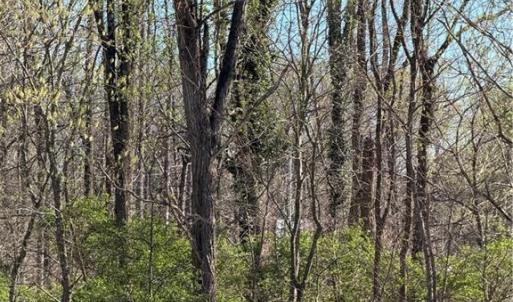 Photo #1 of Pine Woods Church, Thomasville, NC 15.0 acres