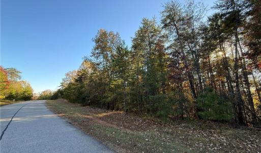Photo #13 of 173 Lake View Pass, Rockingham, NC 3.7 acres