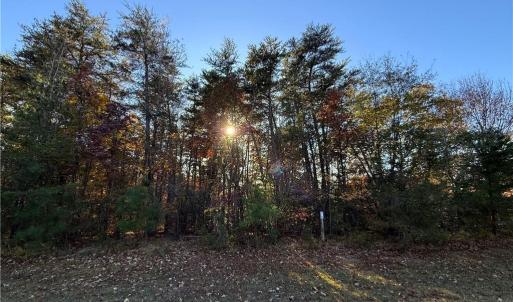 Photo #12 of 173 Lake View Pass, Rockingham, NC 3.7 acres