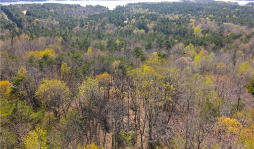 Photo #7 of 173 Lake View Pass, Rockingham, NC 3.7 acres