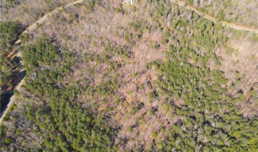 Photo #9 of 173 Lake View Pass, Rockingham, NC 3.7 acres