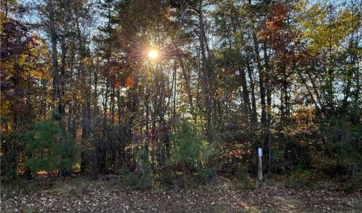 Photo #11 of 173 Lake View Pass, Rockingham, NC 3.7 acres