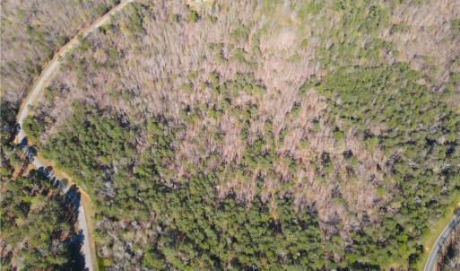 Photo #8 of 173 Lake View Pass, Rockingham, NC 3.7 acres