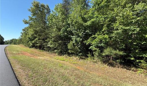 Photo #6 of 173 Lake View Pass, Rockingham, NC 3.7 acres