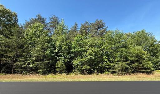 Photo #7 of 173 Lake View Pass, Rockingham, NC 3.7 acres