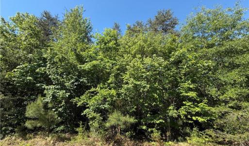 Photo #8 of 173 Lake View Pass, Rockingham, NC 3.7 acres