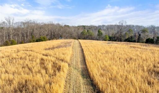 Photo #3 of Dalton, Lewisville, NC 15.0 acres