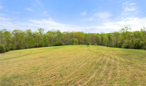 Photo #3 of Dalton, Lewisville, NC 15.0 acres