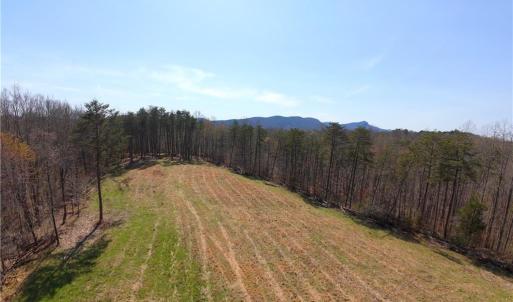 Photo #2 of 1583 Seven Island, Danbury, NC 37.0 acres