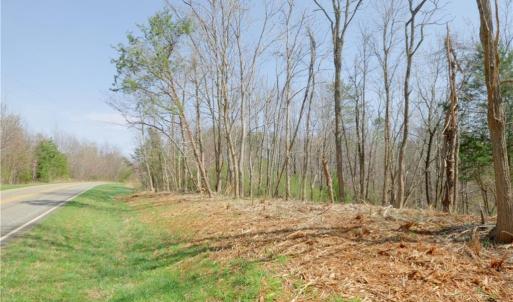 Photo #6 of 1583 Seven Island, Danbury, NC 37.0 acres