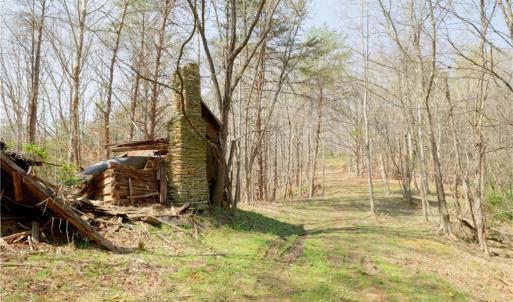 Photo #13 of 1583 Seven Island, Danbury, NC 37.0 acres