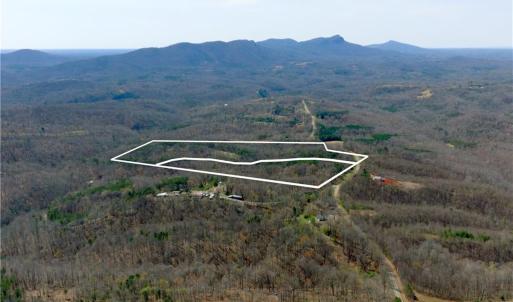 Photo #26 of 1583 Seven Island, Danbury, NC 37.0 acres