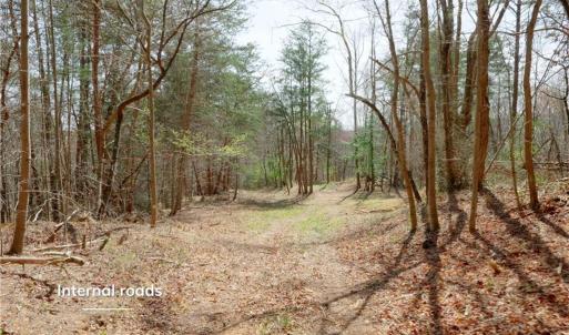 Photo #7 of 1583 Seven Island, Danbury, NC 37.0 acres