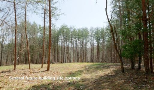 Photo #1 of 1583 Seven Island, Danbury, NC 37.0 acres