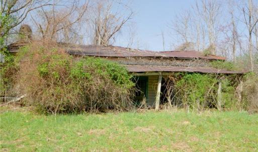 Photo #5 of 1583 Seven Island, Danbury, NC 37.0 acres