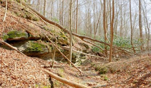 Photo #20 of 1583 Seven Island, Danbury, NC 37.0 acres