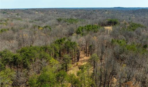 Photo #34 of 1583 Seven Island, Danbury, NC 37.0 acres