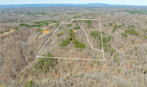 Photo #38 of 1583 Seven Island, Danbury, NC 37.0 acres