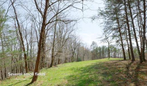 Photo #14 of 1583 Seven Island, Danbury, NC 37.0 acres