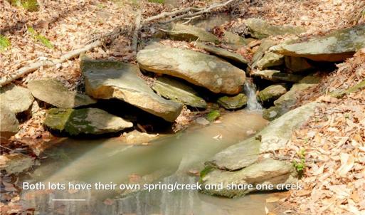 Photo #18 of 1583 Seven Island, Danbury, NC 37.0 acres