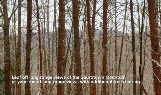 Photo #15 of 1583 Seven Island, Danbury, NC 37.0 acres