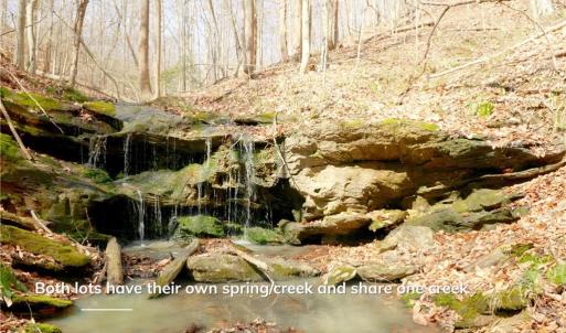 Photo #19 of 1583 Seven Island, Danbury, NC 37.0 acres