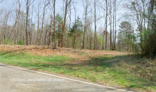 Photo #4 of 1583 Seven Island, Danbury, NC 37.0 acres