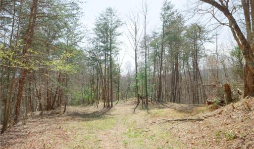 Photo #8 of 1583 Seven Island, Danbury, NC 37.0 acres