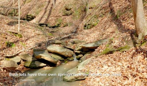 Photo #21 of 1583 Seven Island, Danbury, NC 37.0 acres