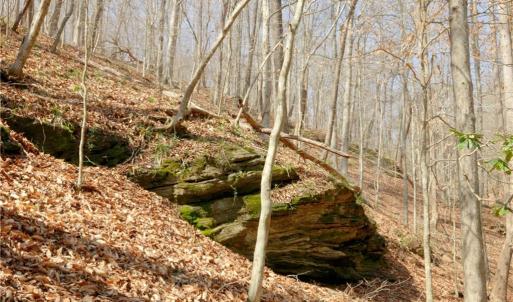 Photo #17 of 1583 Seven Island, Danbury, NC 37.0 acres
