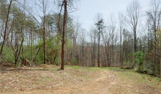 Photo #9 of 1583 Seven Island, Danbury, NC 37.0 acres