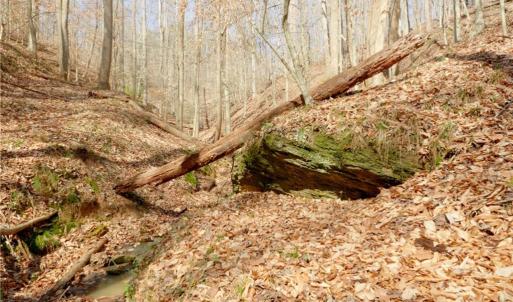 Photo #2 of Seven Island, Danbury, NC 20.8 acres
