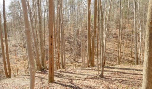 Photo #13 of Seven Island, Danbury, NC 20.8 acres