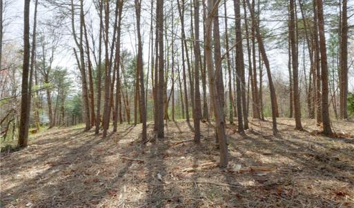 Photo #17 of Seven Island, Danbury, NC 20.8 acres