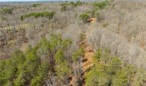 Photo #22 of Seven Island, Danbury, NC 20.8 acres
