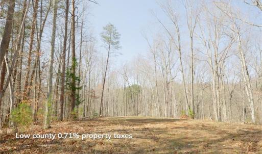 Photo #7 of Seven Island, Danbury, NC 20.8 acres