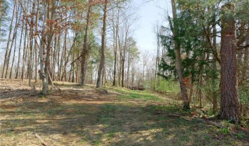 Photo #9 of Seven Island, Danbury, NC 20.8 acres