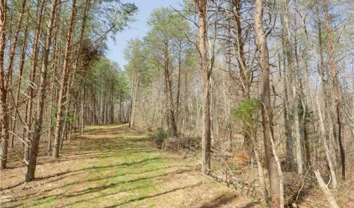 Photo #11 of Seven Island, Danbury, NC 20.8 acres