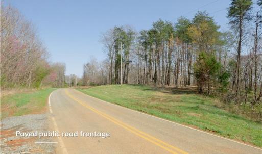 Photo #19 of Seven Island, Danbury, NC 20.8 acres