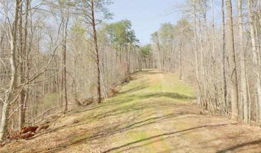 Photo #8 of Seven Island, Danbury, NC 20.8 acres