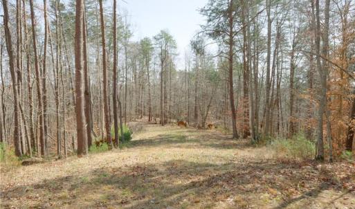 Photo #2 of Seven Island, Danbury, NC 20.8 acres