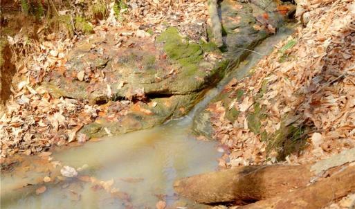Photo #6 of Seven Island, Danbury, NC 20.8 acres