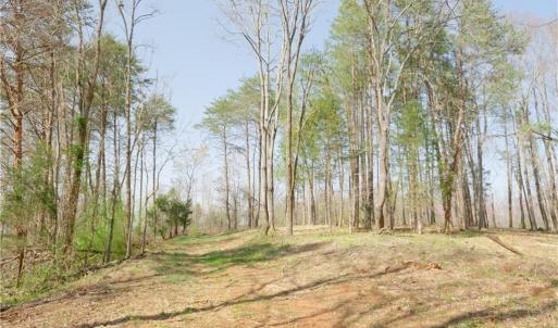 Photo #13 of Seven Island, Danbury, NC 20.8 acres