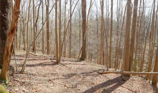 Photo #17 of Seven Island, Danbury, NC 20.8 acres