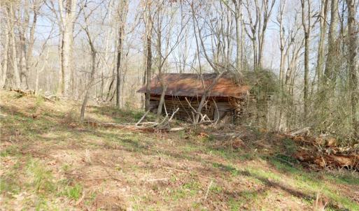 Photo #18 of Seven Island, Danbury, NC 20.8 acres