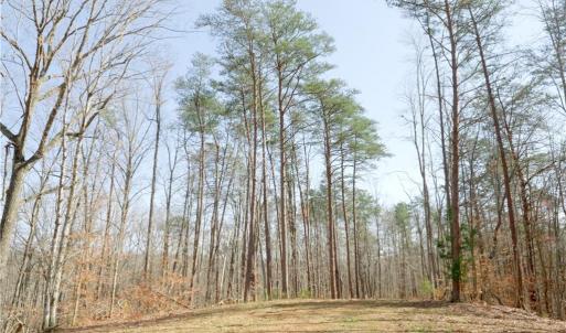 Photo #8 of Seven Island, Danbury, NC 20.8 acres