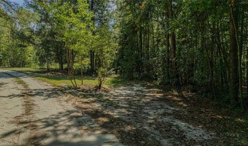 Photo #12 of 120 Lindsey, Eagle Springs, NC 24.0 acres