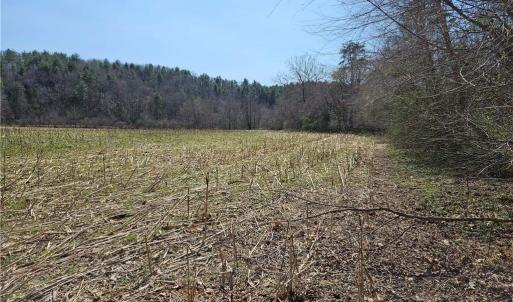 Photo #13 of 1827 Willis Gap, Ararat, VA 104.3 acres